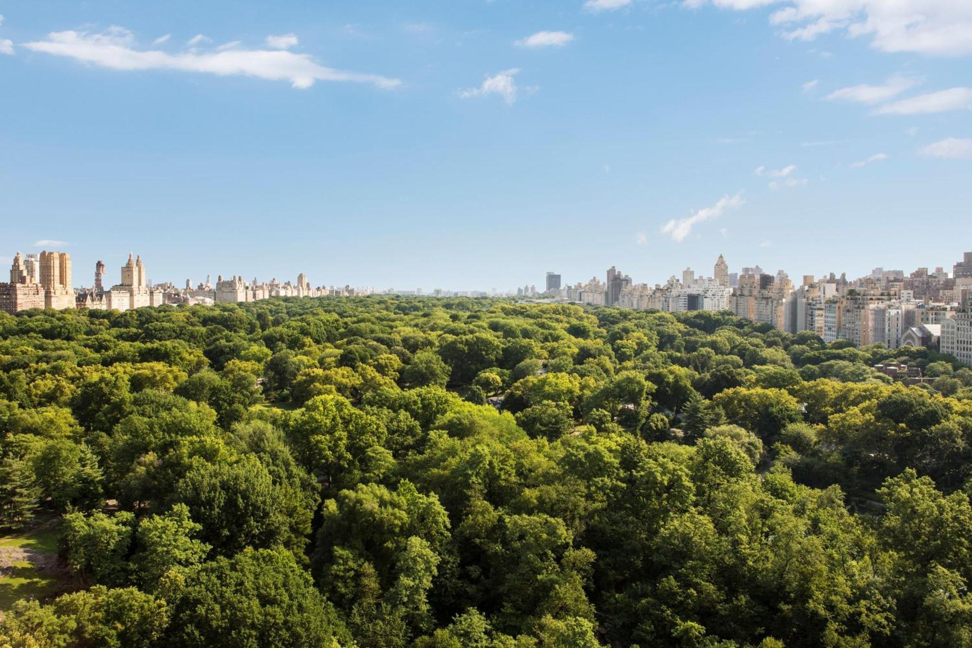 The Ritz-Carlton New York, Central Park Eksteriør bilde